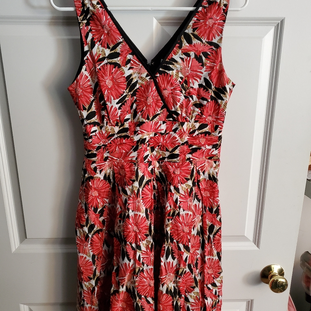 Robbie Bee swing dress